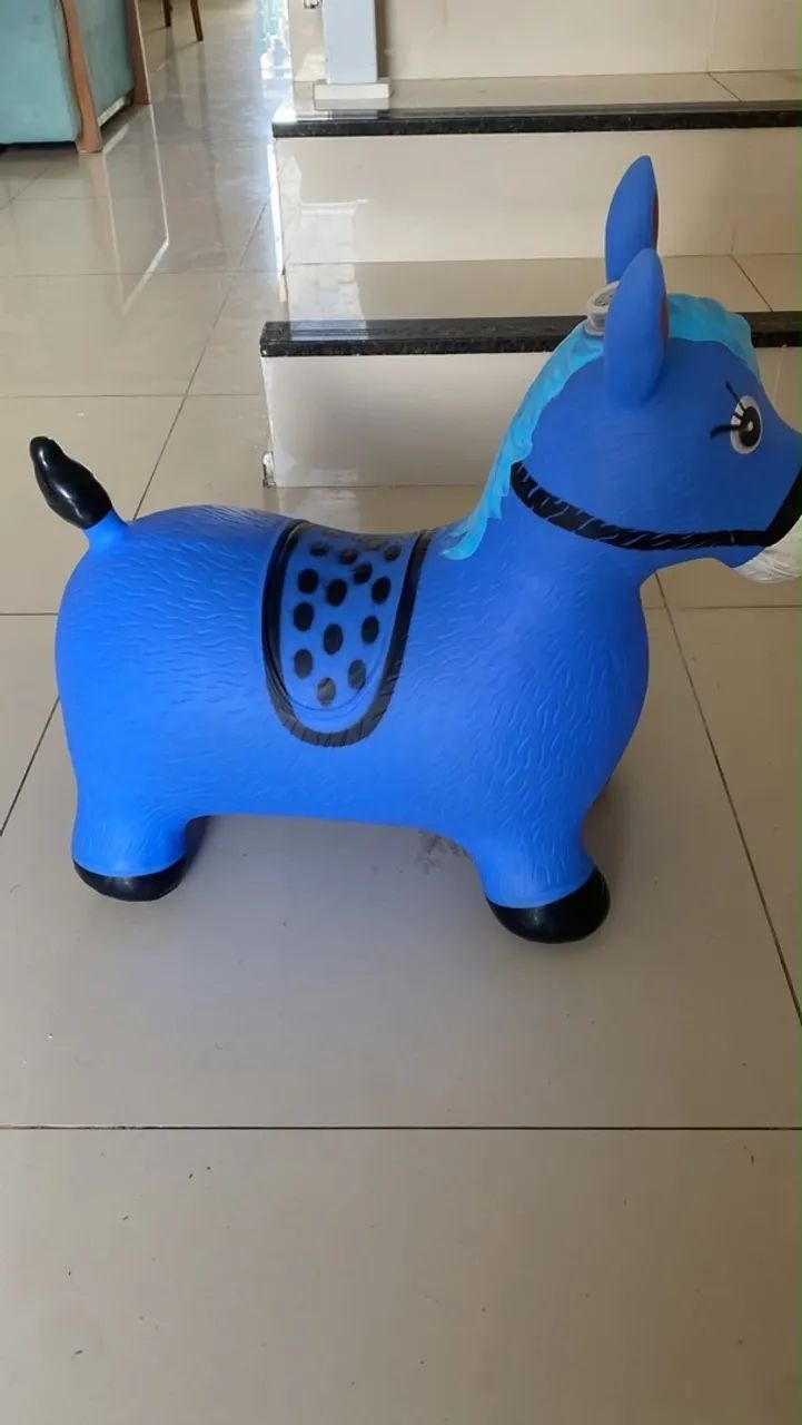 Cavalinho pocotó  - Foto 2