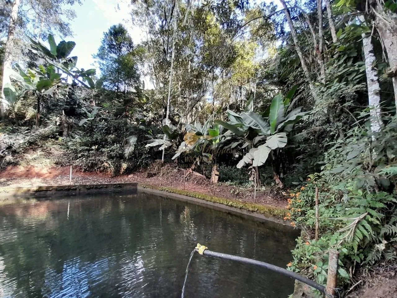 Terreno para Venda em Teresópolis, Prata dos Aredes - Foto 5