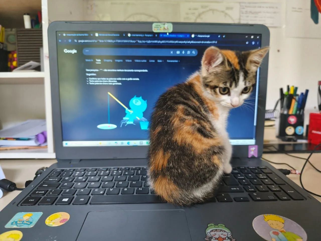 Doação de filhote de gatinho  - Foto 2