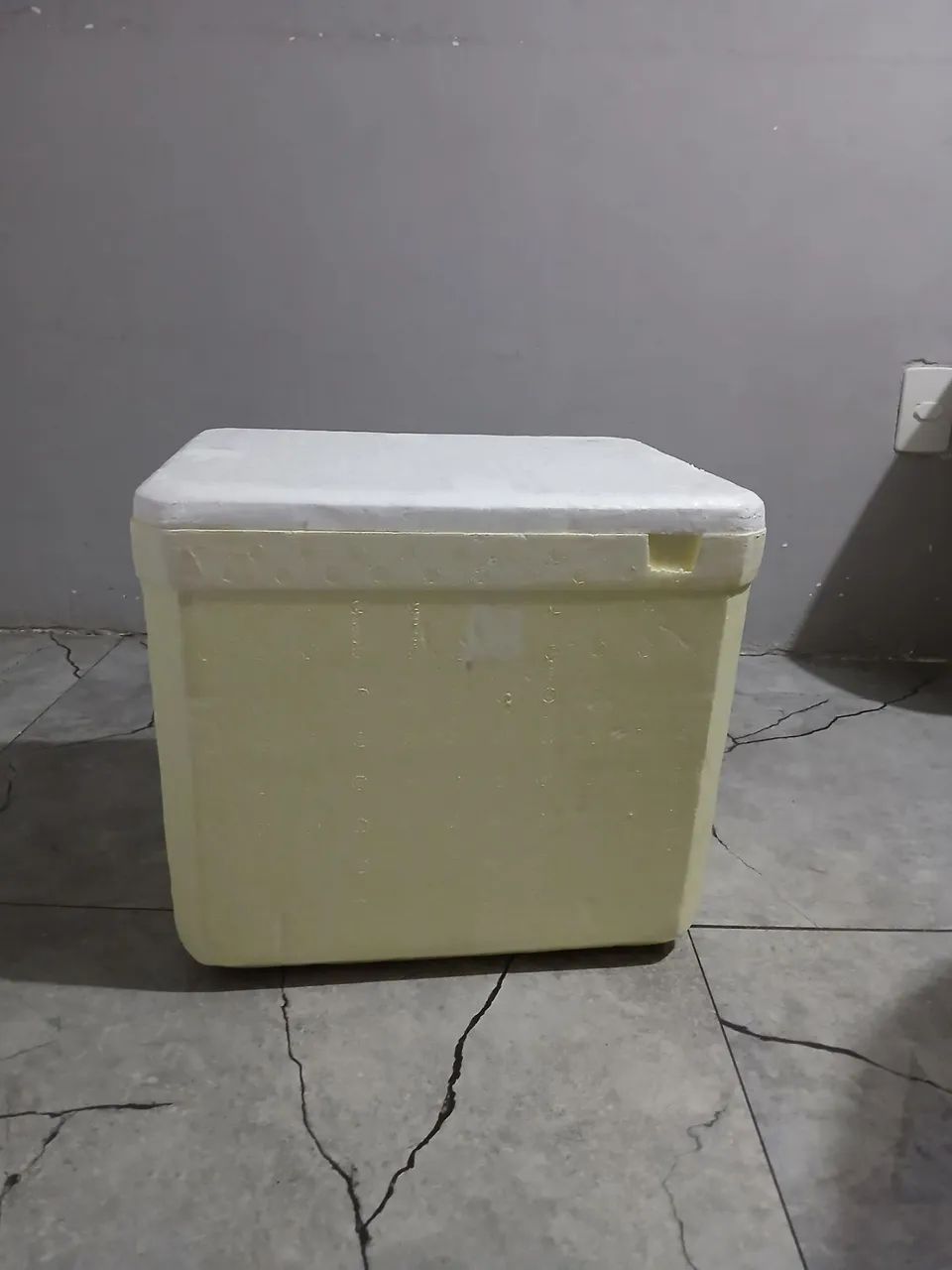 Caixa de isopor 49l