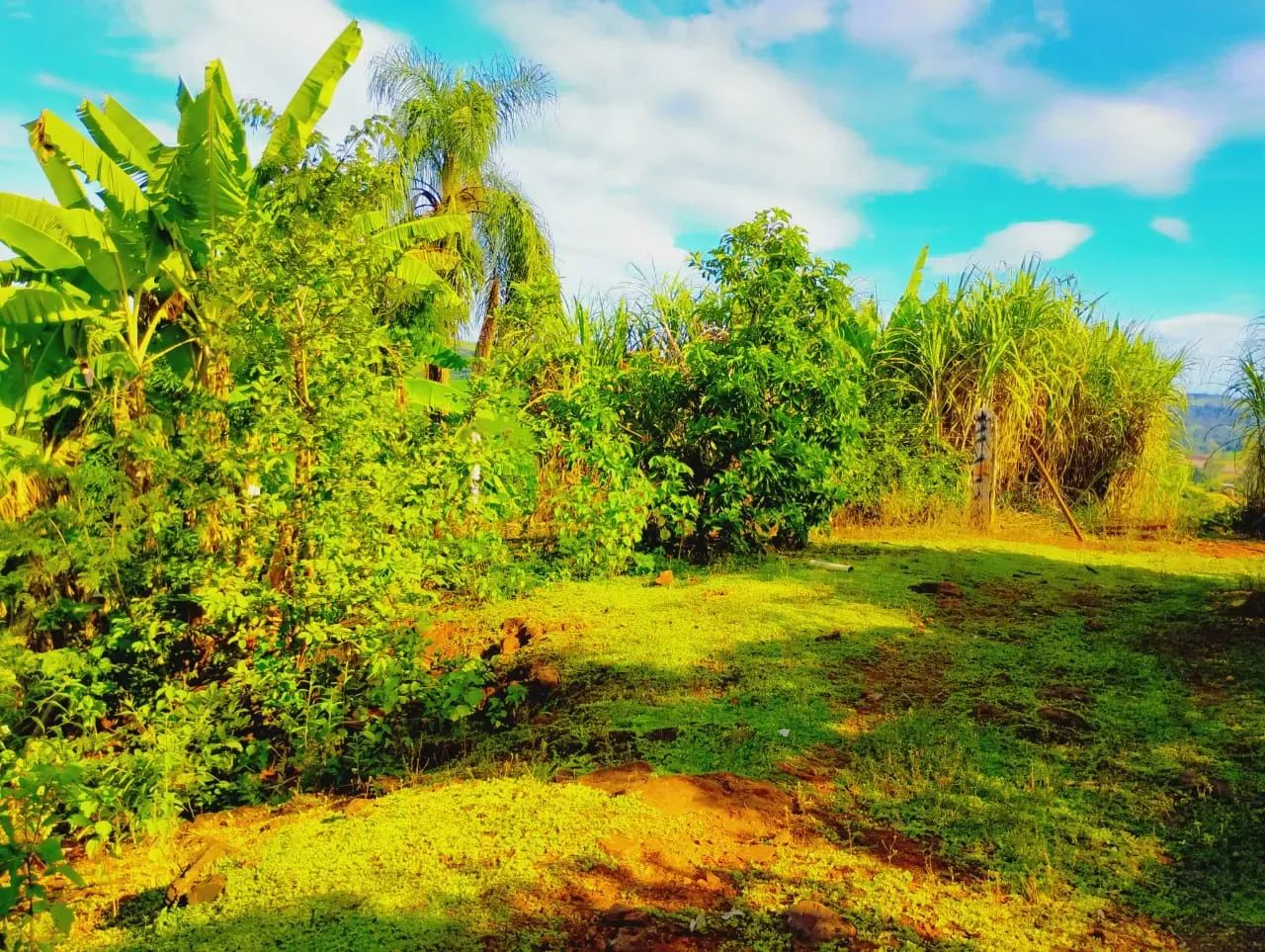 SITIO GUAIRACÁ - Foto 5