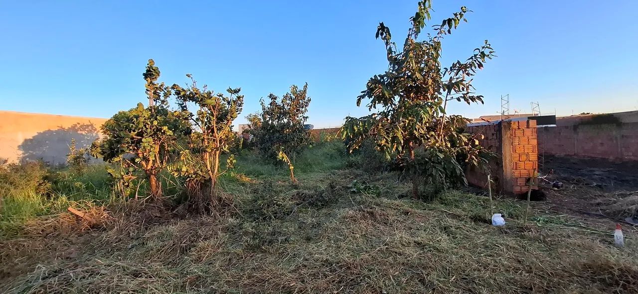 TERRENO À VENDA - RECANTO DO CERRADO | PRÓXIMO À UCDB - Foto 2