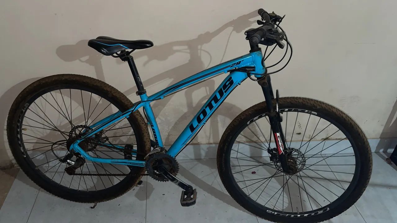 Bicicleta 