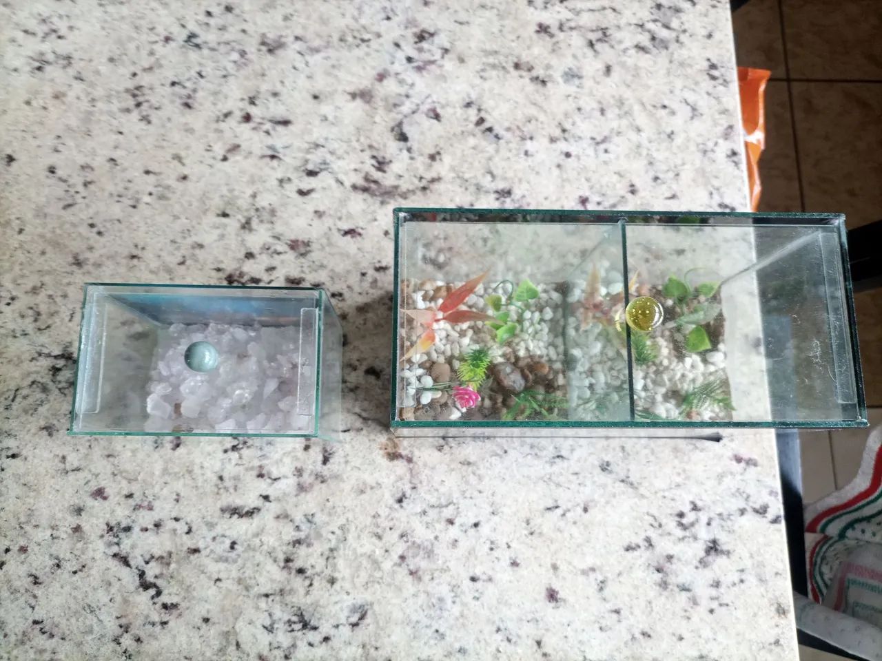 2 beteira - Foto 2