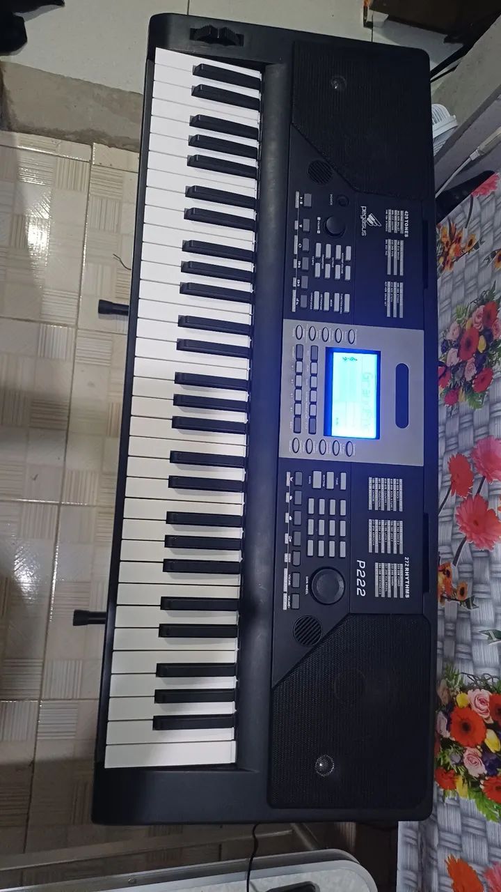Teclado Musical Pegasus P222