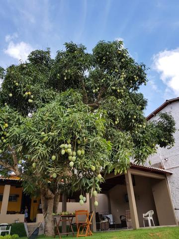 Chácara em Parnamirim, bairro boa esperança - Foto 4