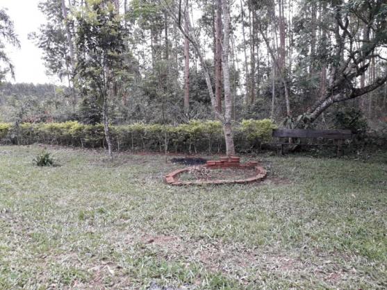 Chácara 10.000 m² - vendinha - montenegro - rs - Foto 7