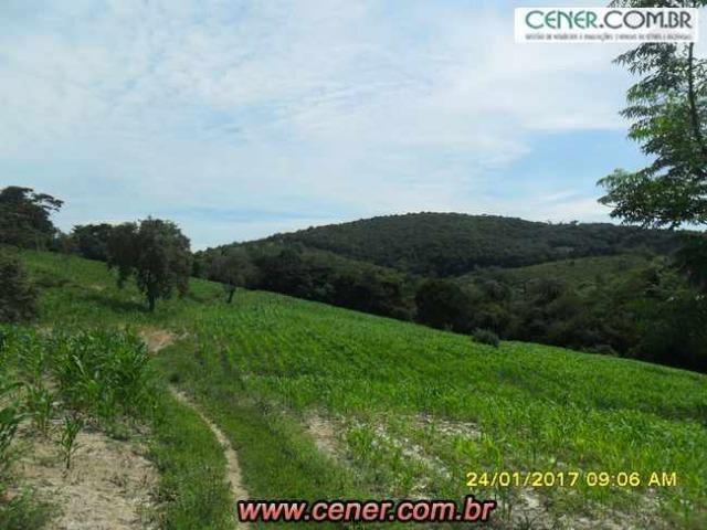 07F/Bela fazenda de 18,78 ha com linda sede estilo antigo, cachoeiras e produtiva - Foto 14