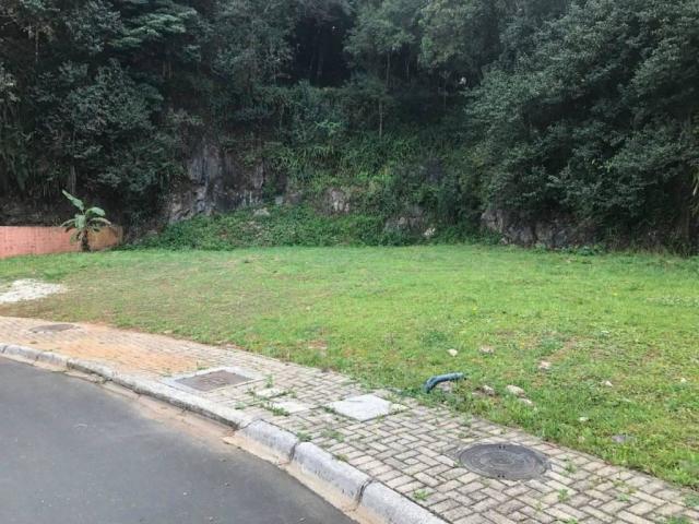 Loteamento/condomínio à venda em Pilarzinho, Curitiba cod:TE0022 - Foto 18