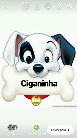 Cães
