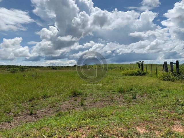 Fazenda 1300 ha para Arrendamento barra do bugres - Foto 4