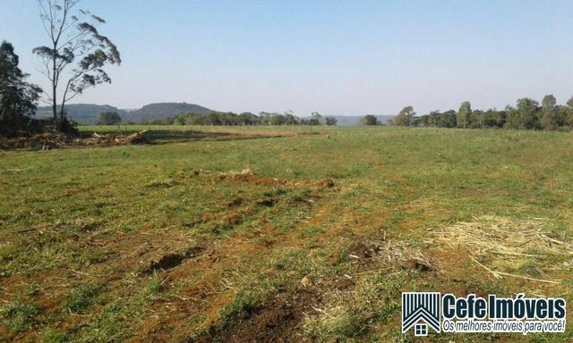 Chácara em Canela com 3 hectares - Foto 3