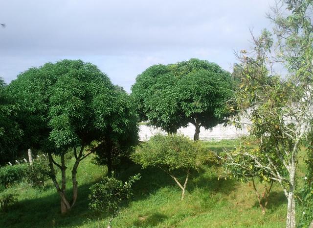 Terreno 300 à 700 m² - Condomínio Fechado - Foto 9