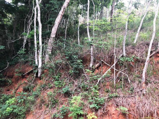 Terreno em condomínio - Foto 5