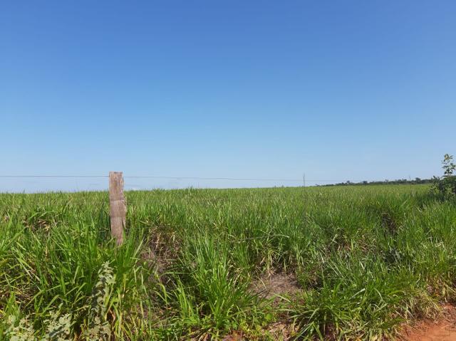 Fazenda de 154 alqueires - Foto 13