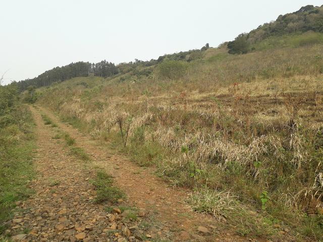 14,9 hectares de terra na beira do rio Uruguai - Foto 5