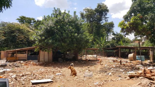 Casa no Bairro Vila Nova, Com amplos espaço nos fundos - Aceito Casa menor valor - Foto 7