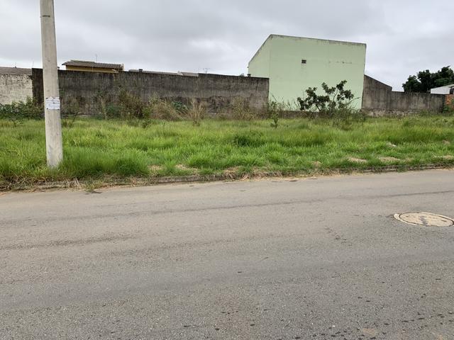 Vende-se 4 lotes três marias - Foto 3