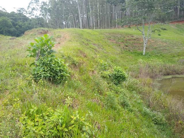 Sitio Viana 2 herquitares - Foto 5