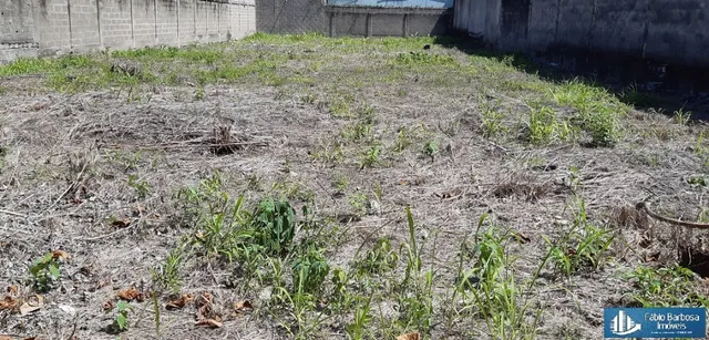 terreno 675m² - sol da manhã - Praia de Itaparica