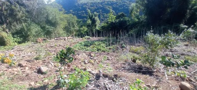 Sitio com casa 158,900,00 - Foto 4