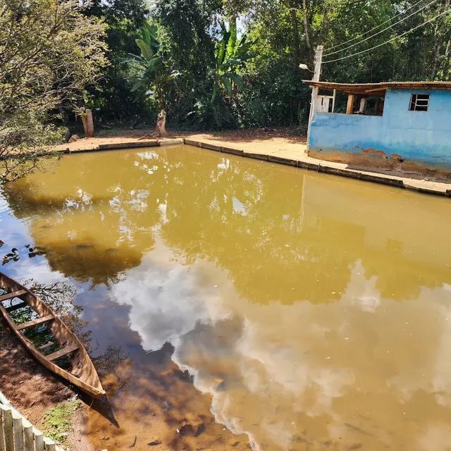 Lindo Sítio 3 hectares Santa Bárbara - Foto 2