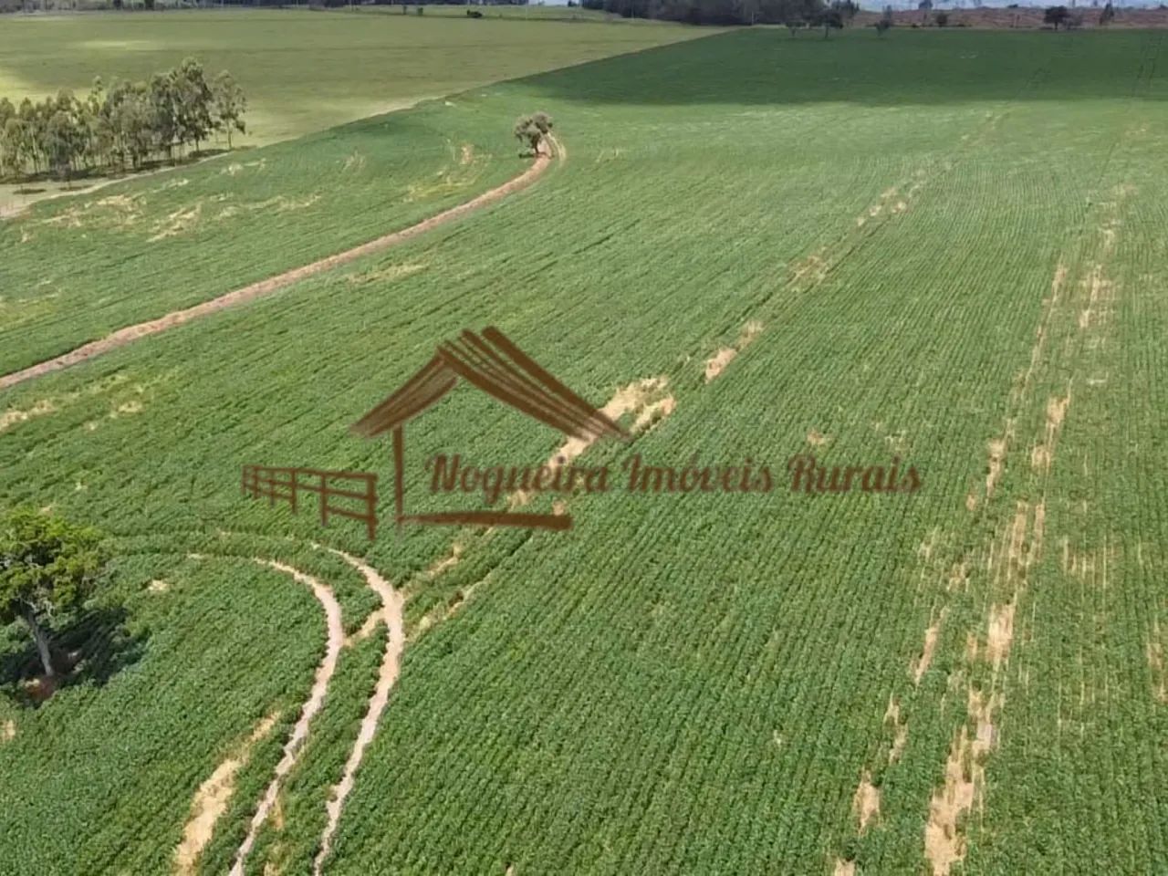 Sítio com 16 Alqueires na Região De Avaré-SP - Foto 5