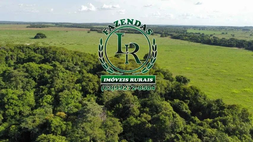 Fazenda 260 Alqueires Dupla Aptidão - Foto 2