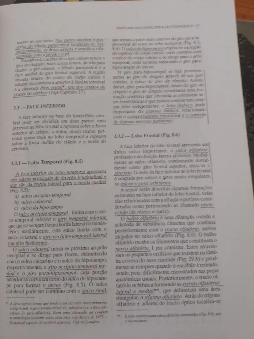 Neuroanatomia funcional Angelo Machado. 2° edição.   - Foto 3