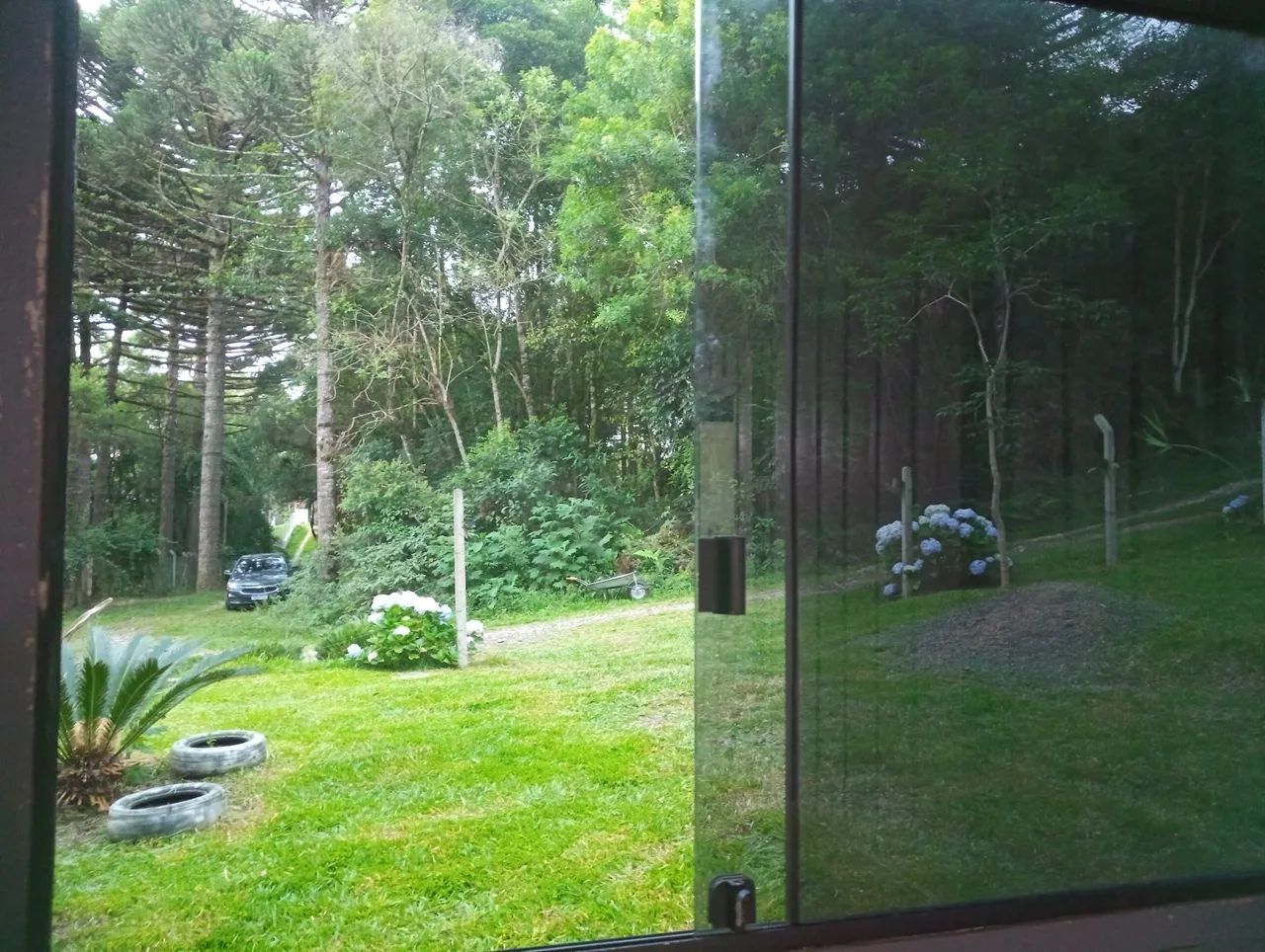 Oportunidade Chácara 1.200 m2 - Foto 5