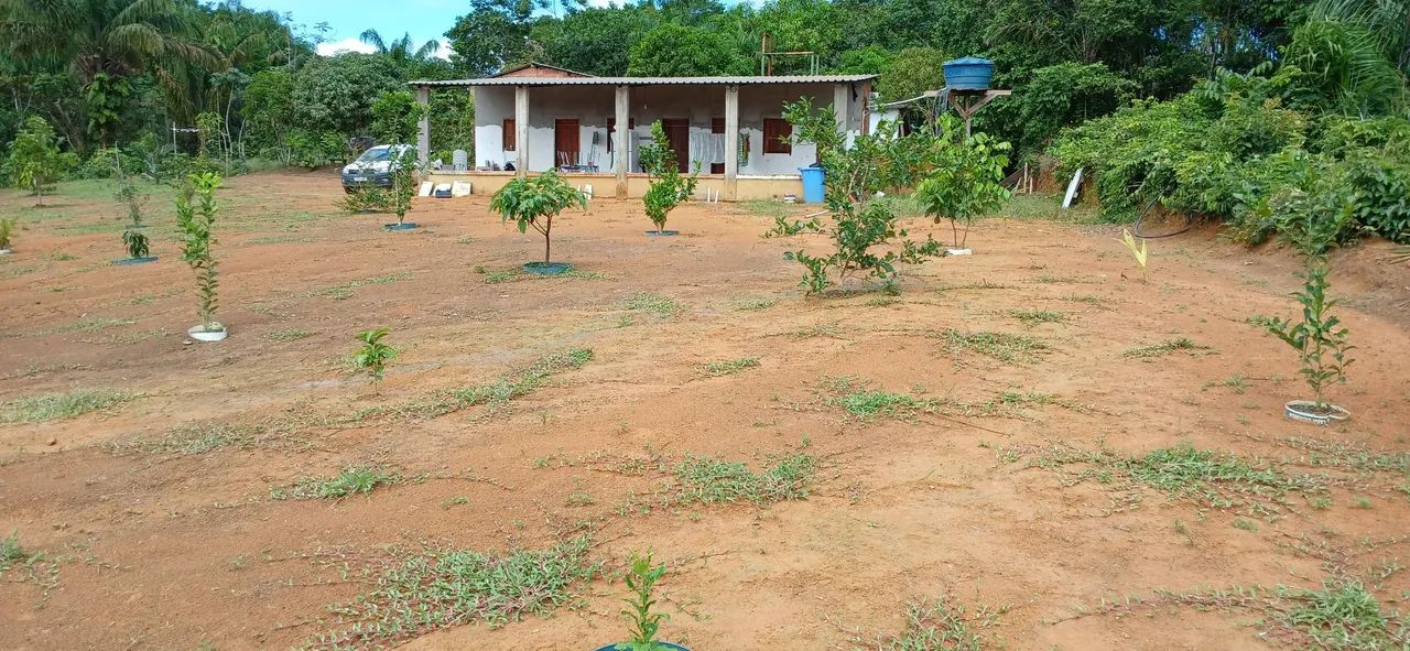 Foto - Manaus - Lago Azul