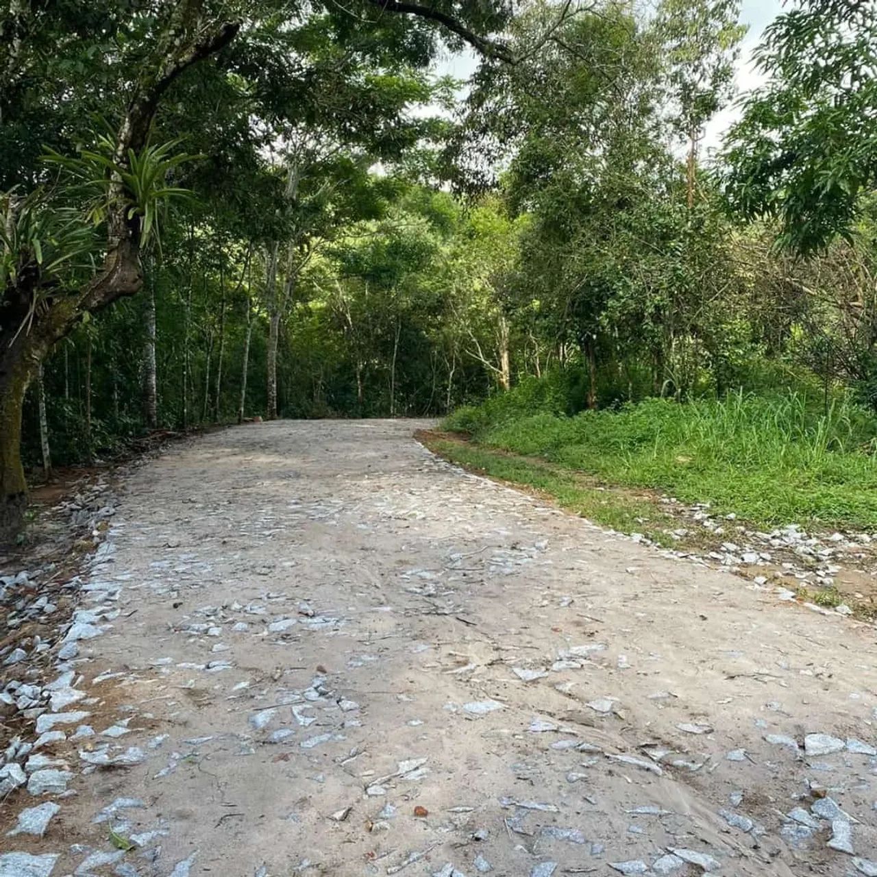 Lotes De 10X30 Na Serra De Pacoti, As Margens Da Ce 065, 3 Minutos Do Centro! Cód. KO1KFK - Foto 2