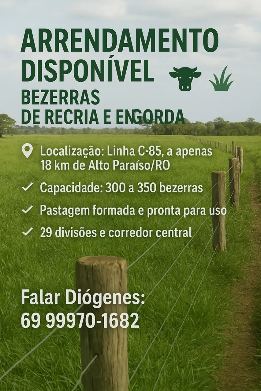 Arrendamento Pasto 300 Bezerras