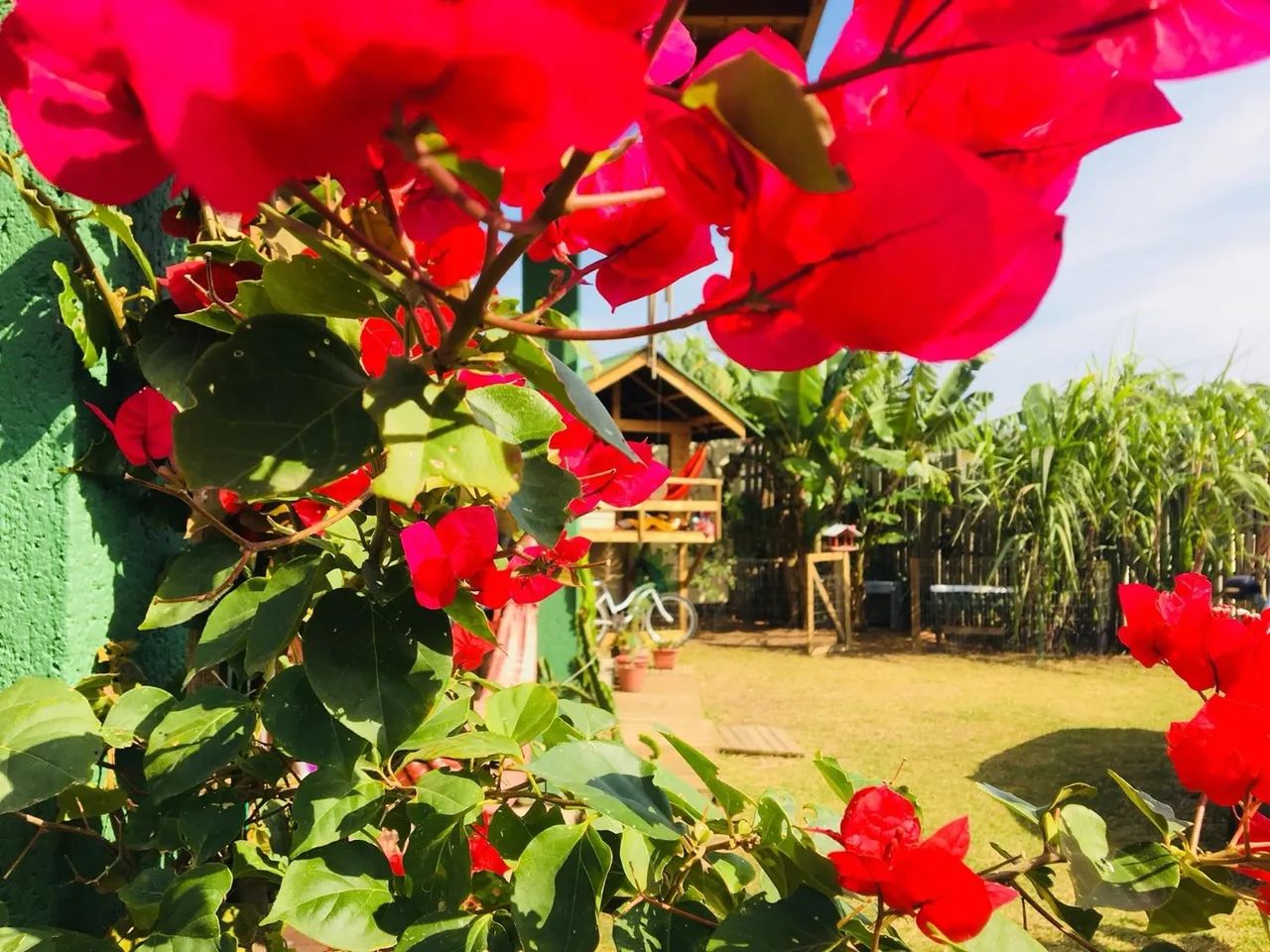 Casa Fazendinha no Campeche  - Foto 11