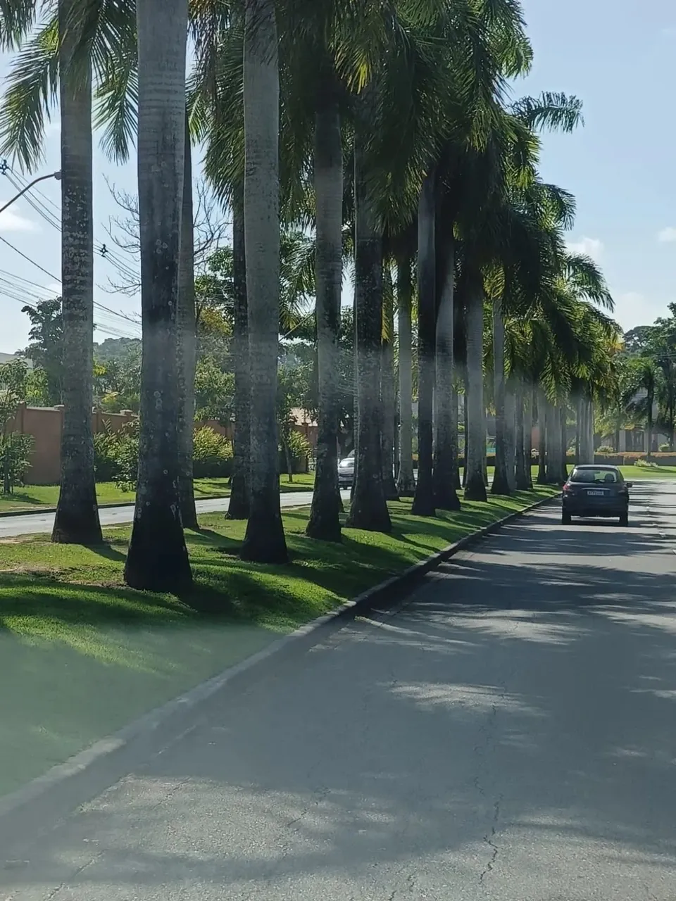 Excelente lote de Terreno no Condomínio Alphaville Litoral Norte 1!!
