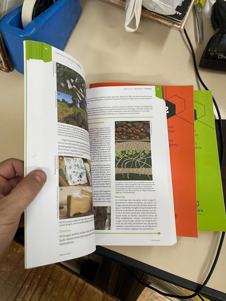 Coleção livros ciências da natureza matemática ciências humanas códigos linguagens Pandora - Foto 2