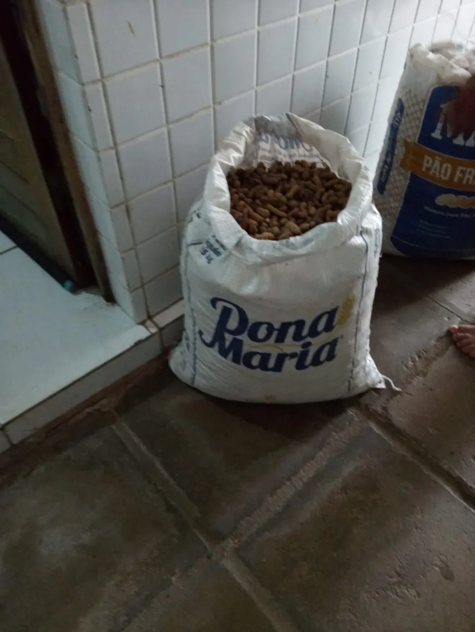 Amendoim cru c casca-11 kilos