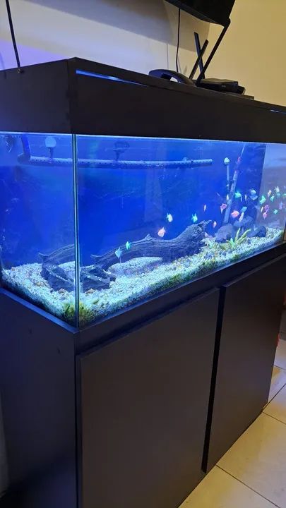 Aquário 120 Litros com Armário - Foto 5