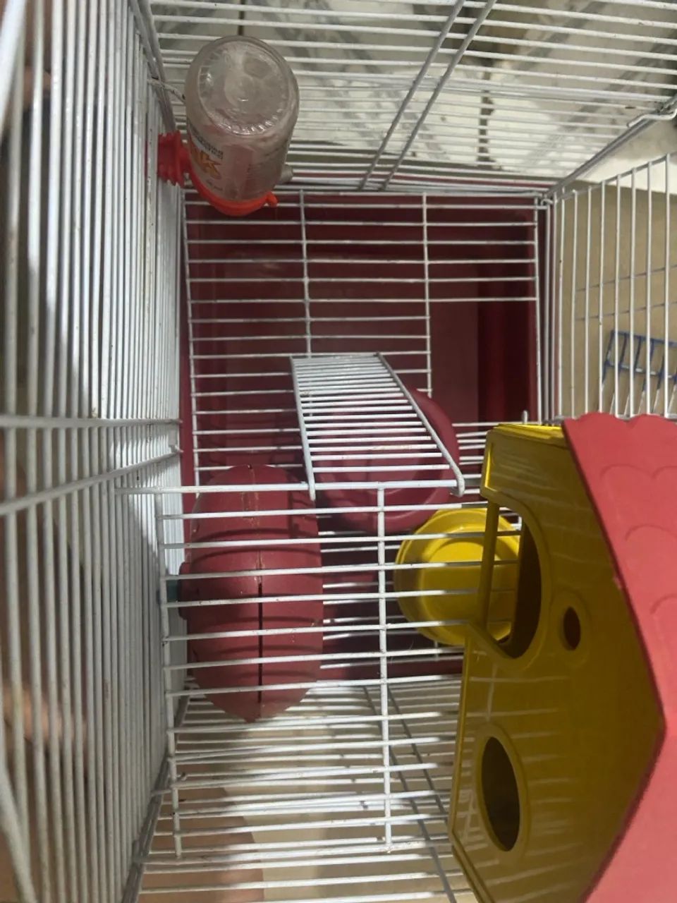 Gaiola para roedores 