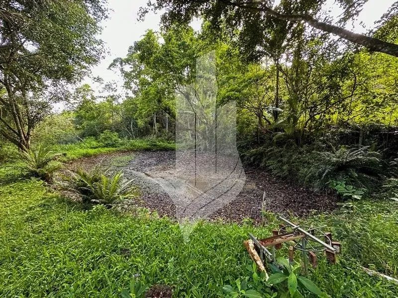 Chácara com cachoeira em Indaial - SC - Foto 8