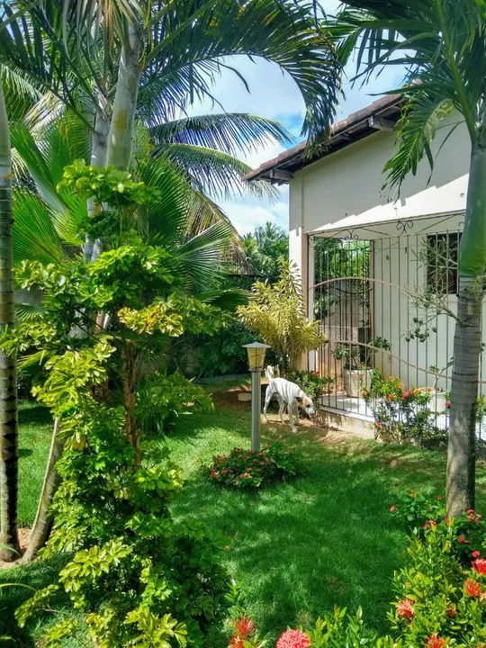 Sítio com piscina em área tranquila - Foto 6