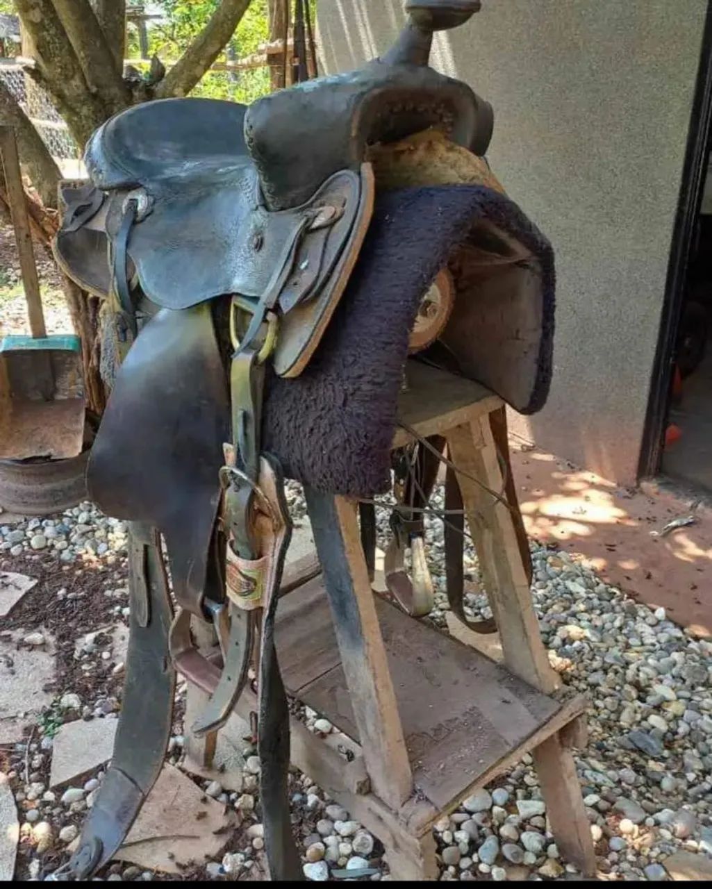 Vendo cela montaria  - Foto 3