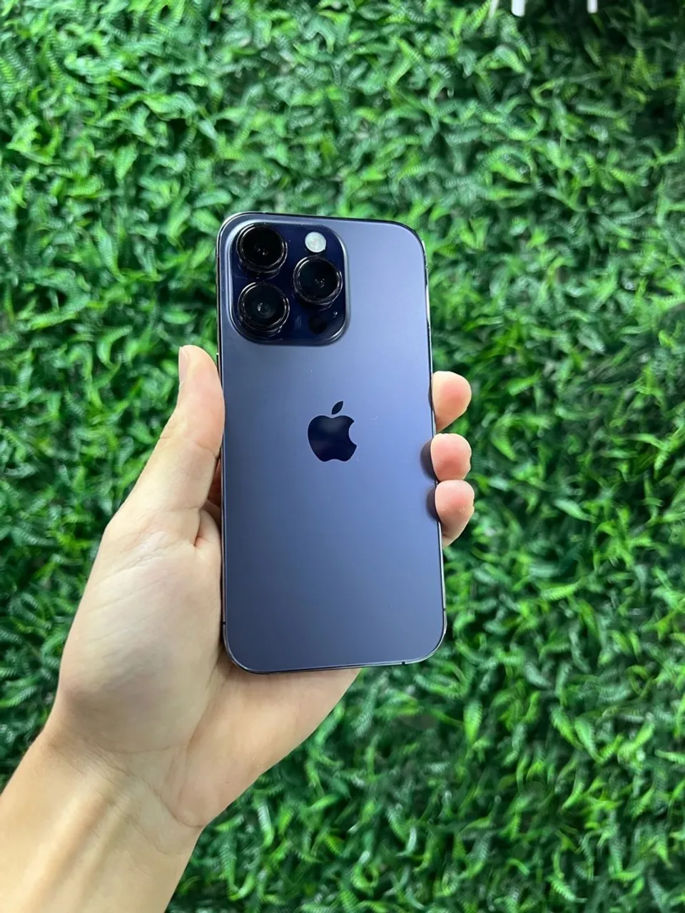 iPhone 14 Pro 256GB Seminovo