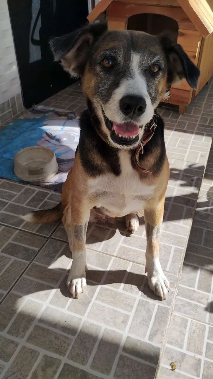Mel para doação 