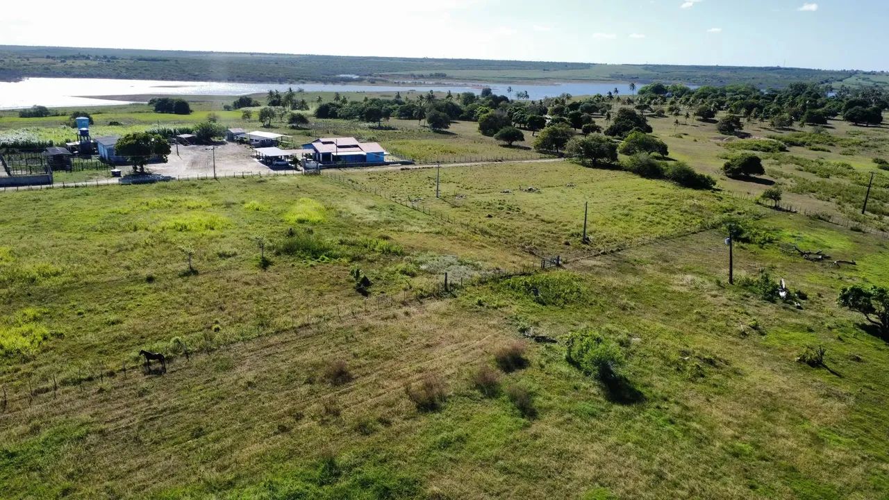 fazenda com 150 hectares entre Macaiba e vera cruz um Luxo de fazenda - Foto 4