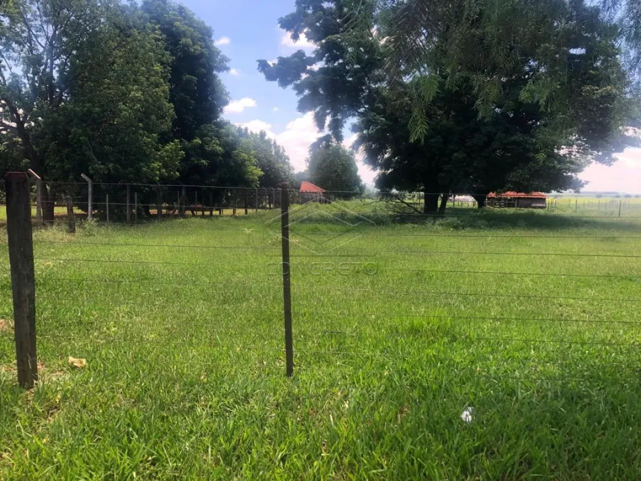 Lote rural em Arealva - centro da cidade!! - Foto 2