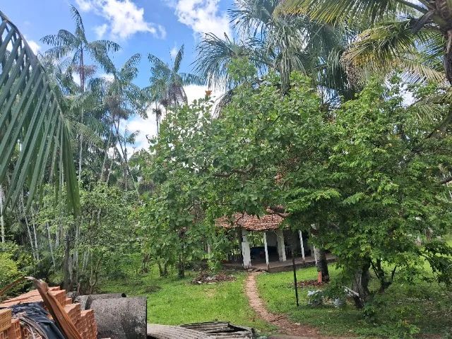 VENDO SÍTIO EM MARITUBA 290 MIL  - Foto 4