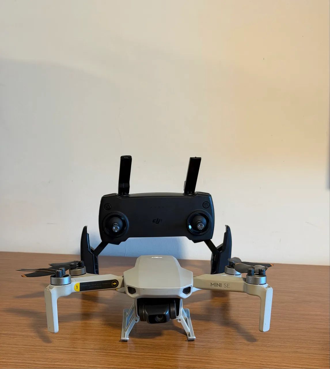 Drone DJI MINI SE 