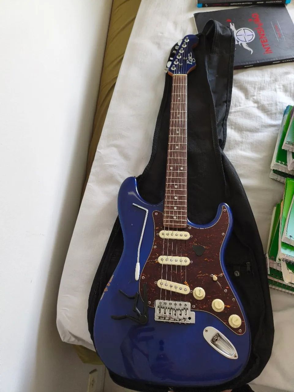 Guitarra stratocaster Eagle + case