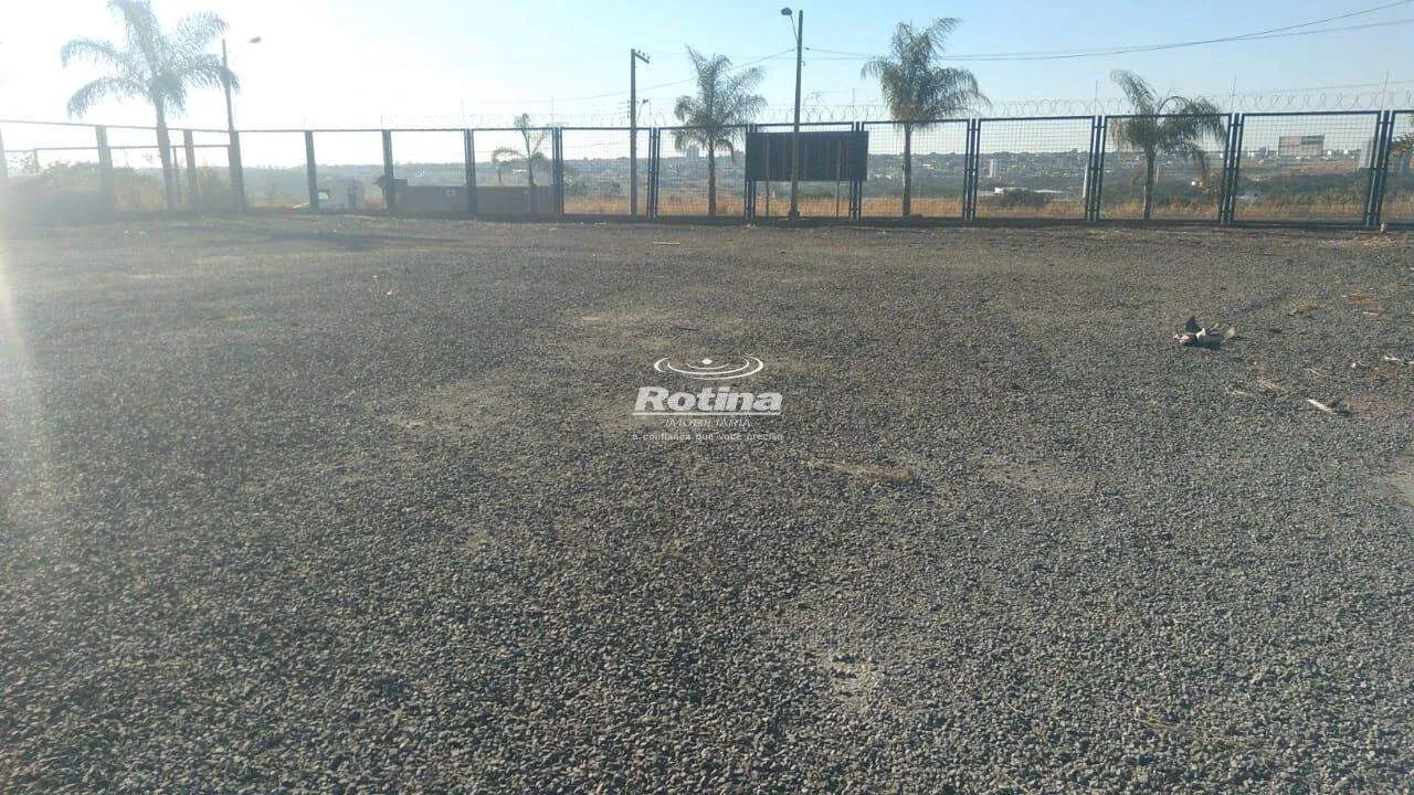 Galpão estilo garagem em área de 3.500m2 - Foto 3